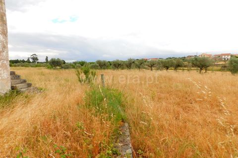 Farm i Seia, Guarda, Seia - € 110.000 | Ref: 382220304 - foto 12