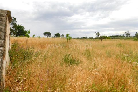 Farm i Seia, Guarda, Seia - € 110.000 | Ref: 382220304 - foto 13