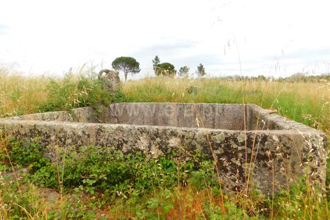 Farm i Seia, Guarda, Seia - € 110.000 | Ref: 382220304 - foto 15