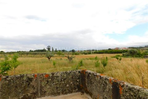 Farm i Seia, Guarda, Seia - € 110.000 | Ref: 382220304 - foto 16