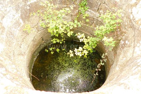 Farm i Seia, Guarda, Seia - € 110.000 | Ref: 382220304 - foto 17