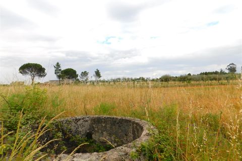 Farm i Seia, Guarda, Seia - € 110.000 | Ref: 382220304 - foto 18