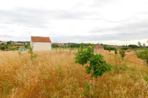 Farm i Seia, Guarda, Seia - € 110.000 | Ref: 382220304 - foto 19