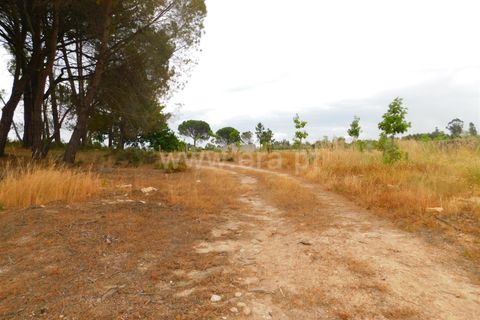 Farm i Seia, Guarda, Seia - € 110.000 | Ref: 382220304 - foto 20
