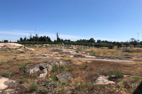 Helårsgrund i Seia, Guarda, Seia - € 25.000 | Ref: 382220229 - foto 4