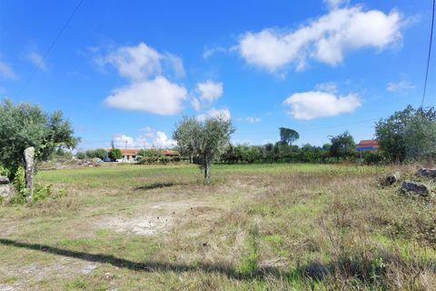Helårsgrund i Seia, Guarda, Seia - € 25.000 | Ref: 382220229 - foto 8