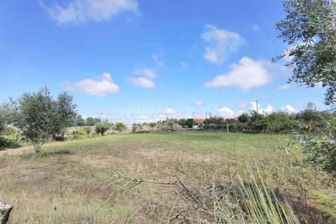 Helårsgrund i Seia, Guarda, Seia - € 25.000 | Ref: 382220229 - foto 9