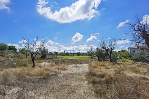 Helårsgrund i Seia, Guarda, Seia - € 25.000 | Ref: 382220229 - foto 11