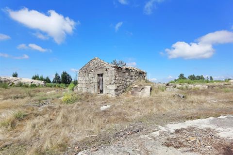 Helårsgrund i Seia, Guarda, Seia - € 25.000 | Ref: 382220229 - foto 12