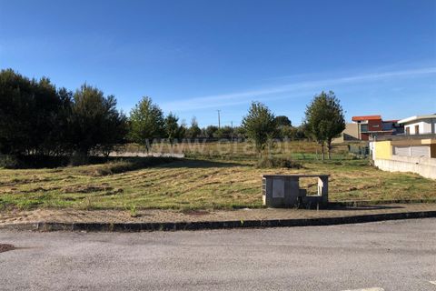 Helårsgrund i Seia, Guarda, Seia - € 30.000 | Ref: 382220278 - foto 5