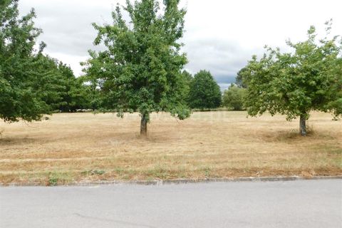 Tomt i Seia, Guarda, Seia - € 290 000 | Ref: 382220315 - foto 5