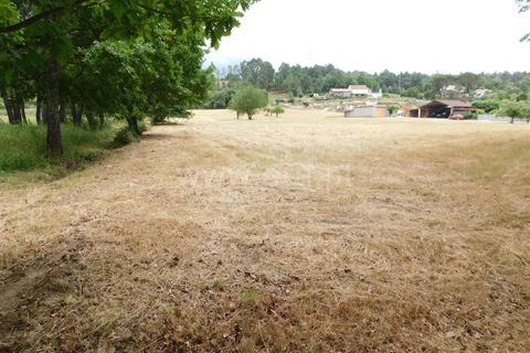 Tomt i Seia, Guarda, Seia - € 290 000 | Ref: 382220315 - foto 11