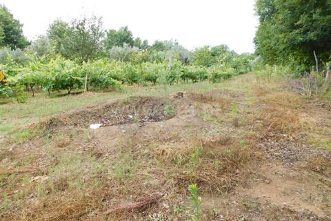 Helårsgrund i Seia, Guarda, Seia - € 17.500 | Ref: 382220337 - foto 2