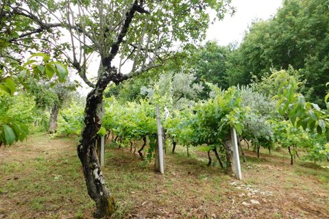 Helårsgrund i Seia, Guarda, Seia - € 17.500 | Ref: 382220337 - foto 3