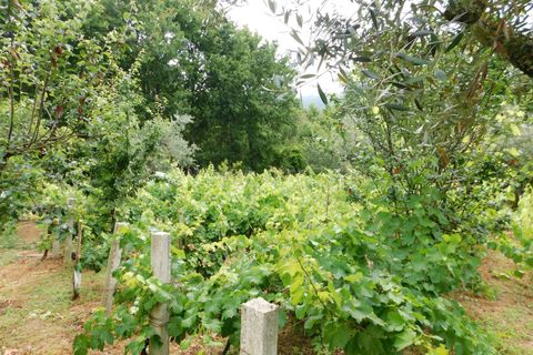 Helårsgrund i Seia, Guarda, Seia - € 17.500 | Ref: 382220337 - foto 5