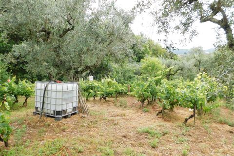 Helårsgrund i Seia, Guarda, Seia - € 17.500 | Ref: 382220337 - foto 7