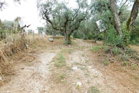 Helårsgrund i Seia, Guarda, Seia - € 17.500 | Ref: 382220337 - foto 10