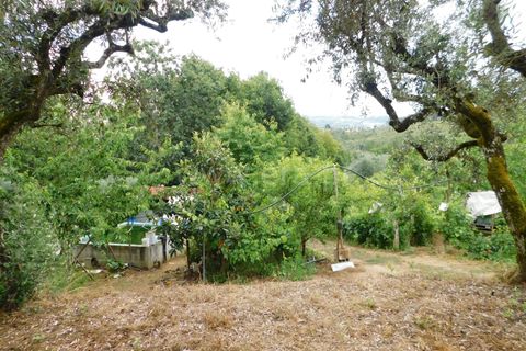 Helårsgrund i Seia, Guarda, Seia - € 17.500 | Ref: 382220337 - foto 11