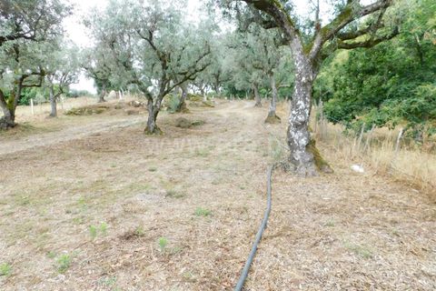 Helårsgrund i Seia, Guarda, Seia - € 17.500 | Ref: 382220337 - foto 12