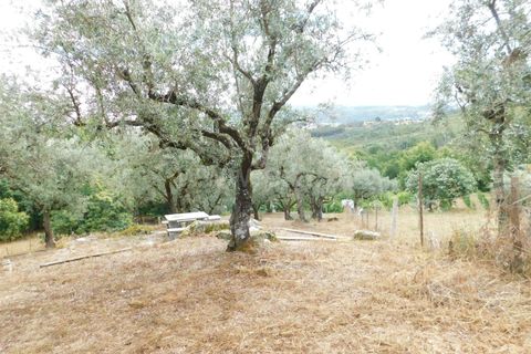 Helårsgrund i Seia, Guarda, Seia - € 17.500 | Ref: 382220337 - foto 14