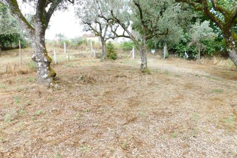 Helårsgrund i Seia, Guarda, Seia - € 17.500 | Ref: 382220337 - foto 15