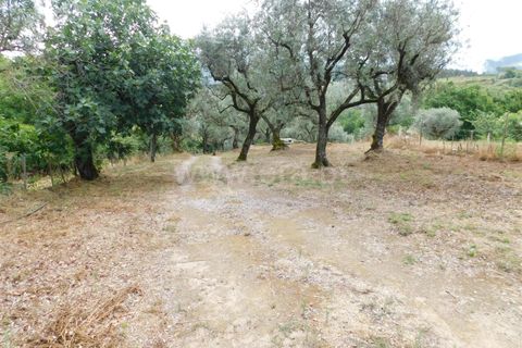 Helårsgrund i Seia, Guarda, Seia - € 17.500 | Ref: 382220337 - foto 17