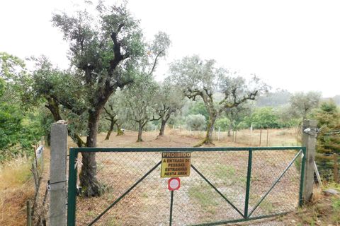 Helårsgrund i Seia, Guarda, Seia - € 17.500 | Ref: 382220337 - foto 19