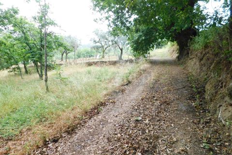 Helårsgrund i Seia, Guarda, Seia - € 17.500 | Ref: 382220337 - foto 20