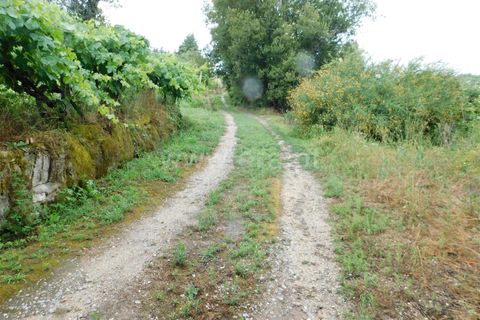 Helårsgrund i Seia, Guarda, Seia - € 17.500 | Ref: 382220337 - foto 21