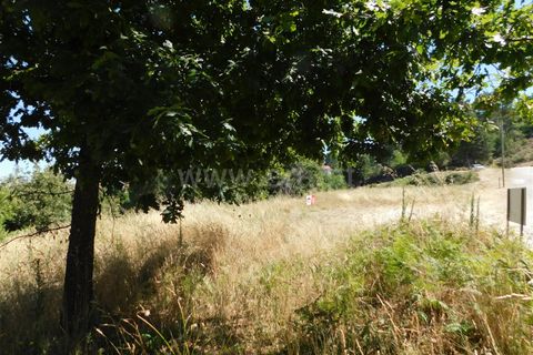 Tomt i Seia, Guarda, Seia - € 52 000 | Ref: 382220371 - foto 2