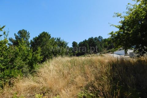 Tomt i Seia, Guarda, Seia - € 52 000 | Ref: 382220371 - foto 4