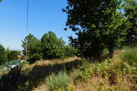 Tomt i Seia, Guarda, Seia - € 52 000 | Ref: 382220371 - foto 5