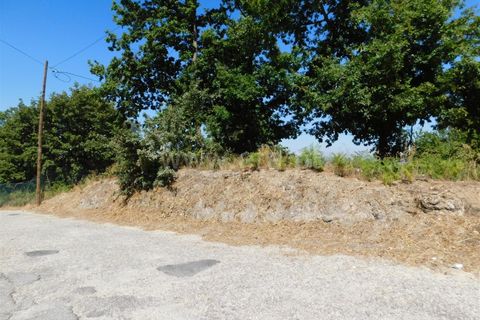 Tomt i Seia, Guarda, Seia - € 52 000 | Ref: 382220371 - foto 6