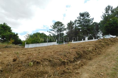 Helårsgrund i Seia, Guarda, Seia - € 23.000 | Ref: 382220383 - foto 5