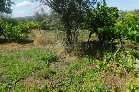 Helårsgrund i Gouveia, Guarda, Gouveia - € 33.000 | Ref: 382220329 - foto 3