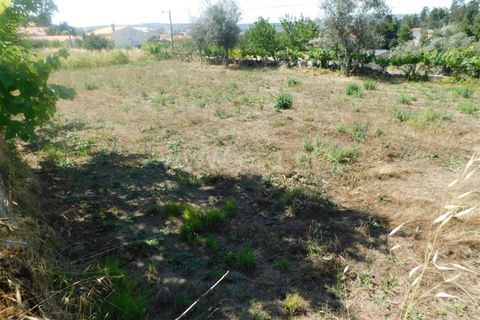 Helårsgrund i Gouveia, Guarda, Gouveia - € 33.000 | Ref: 382220329 - foto 4