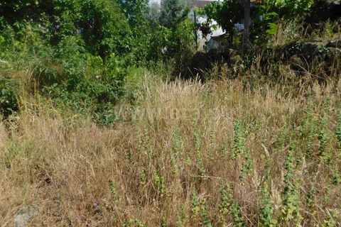 Helårsgrund i Gouveia, Guarda, Gouveia - € 33.000 | Ref: 382220329 - foto 5
