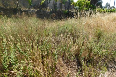 Helårsgrund i Gouveia, Guarda, Gouveia - € 33.000 | Ref: 382220329 - foto 6