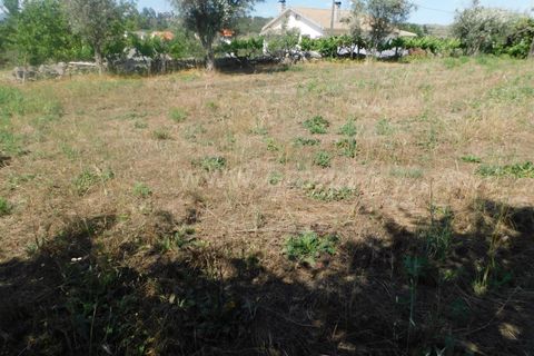 Helårsgrund i Gouveia, Guarda, Gouveia - € 33.000 | Ref: 382220329 - foto 9