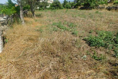Helårsgrund i Gouveia, Guarda, Gouveia - € 33.000 | Ref: 382220329 - foto 10