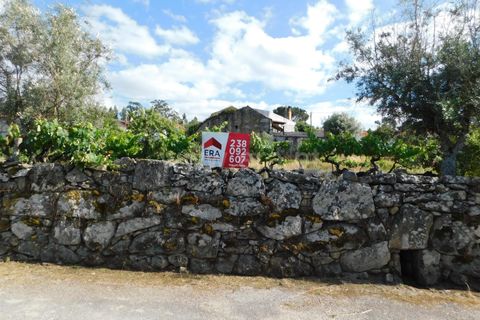 Helårsgrund i Gouveia, Guarda, Gouveia - € 33.000 | Ref: 382220329 - foto 13