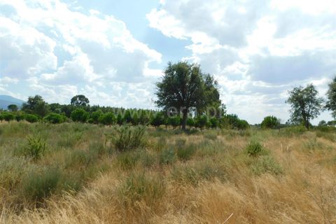 Gård i Seia, Guarda, Seia - € 65 000 | Ref: 382220401 - foto 3