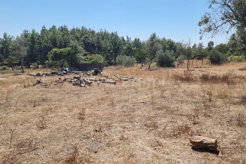 Helårsgrund i Seia, Guarda, Seia - € 34.500 | Ref: 382220389 - foto 3