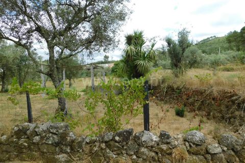 Helårsgrund i Seia, Guarda, Seia - € 18.500 | Ref: 382220393 - foto 2