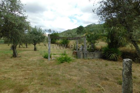 Helårsgrund i Seia, Guarda, Seia - € 18.500 | Ref: 382220393 - foto 3