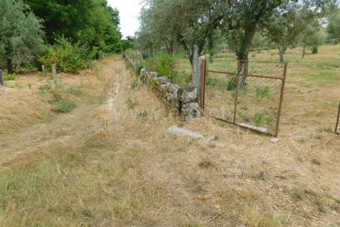Helårsgrund i Seia, Guarda, Seia - € 18.500 | Ref: 382220393 - foto 4