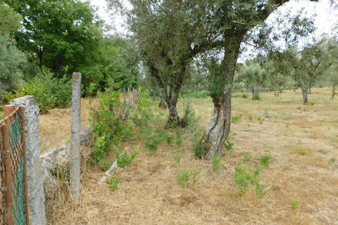 Helårsgrund i Seia, Guarda, Seia - € 18.500 | Ref: 382220393 - foto 5