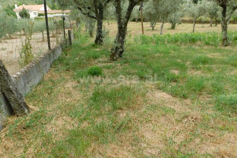 Helårsgrund i Seia, Guarda, Seia - € 18.500 | Ref: 382220393 - foto 7