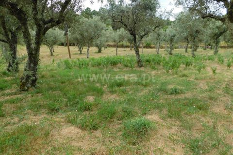 Helårsgrund i Seia, Guarda, Seia - € 18.500 | Ref: 382220393 - foto 8