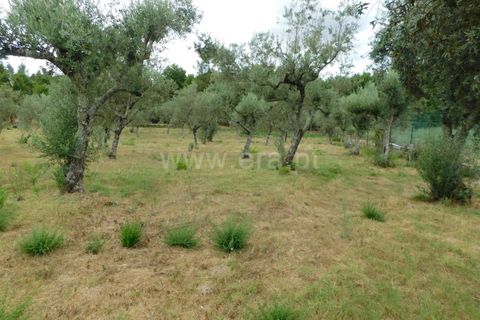Helårsgrund i Seia, Guarda, Seia - € 18.500 | Ref: 382220393 - foto 9